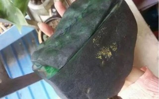 缅甸黑皮翡翠原石：缅甸翡翠原石要价500万切出这样算贵吗 